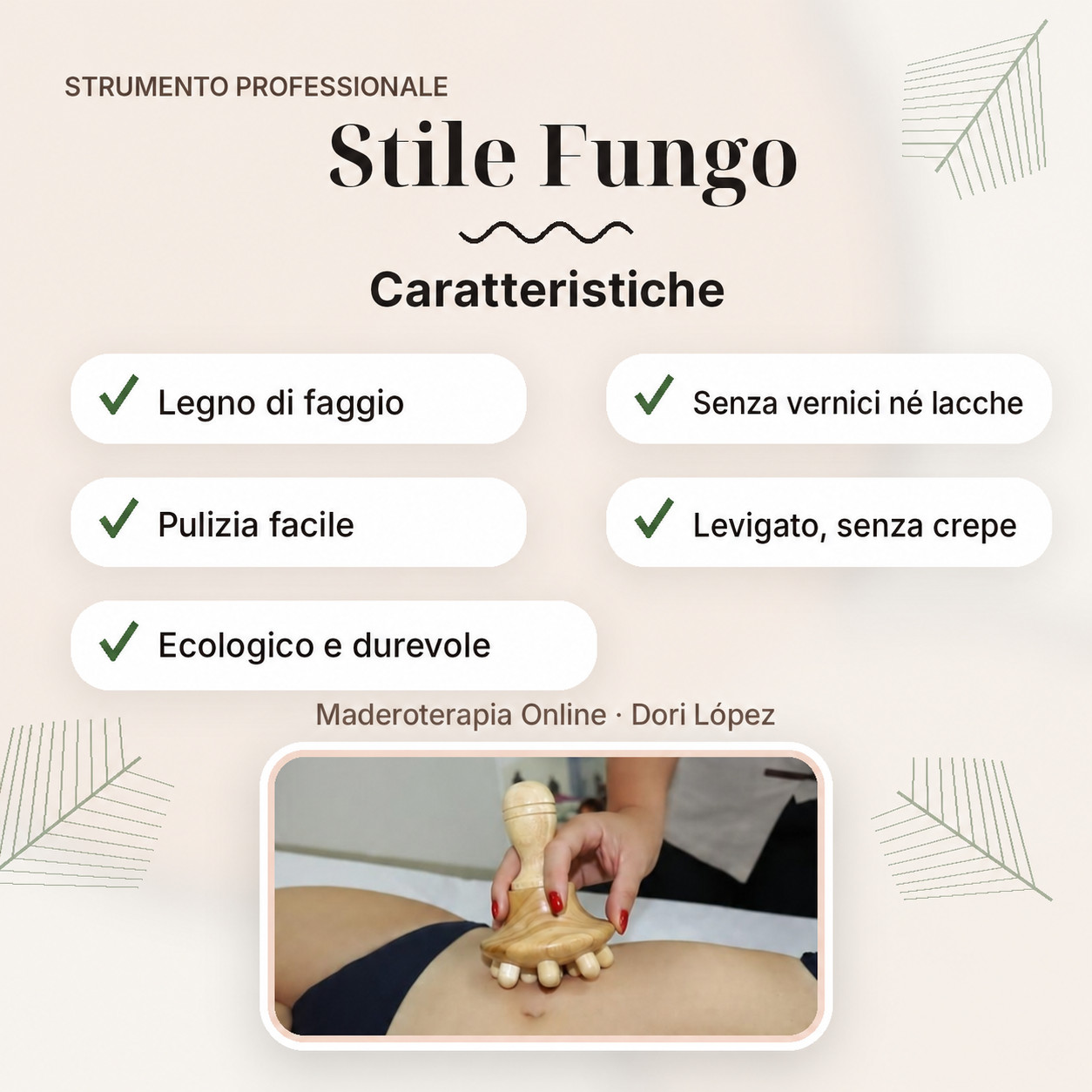 Faggio per la terapia dei funghi Madero - immagine 3
