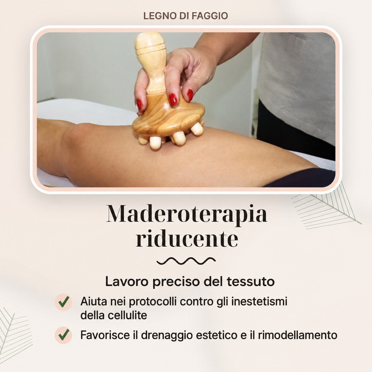 Faggio per la terapia dei funghi Madero - immagine 5