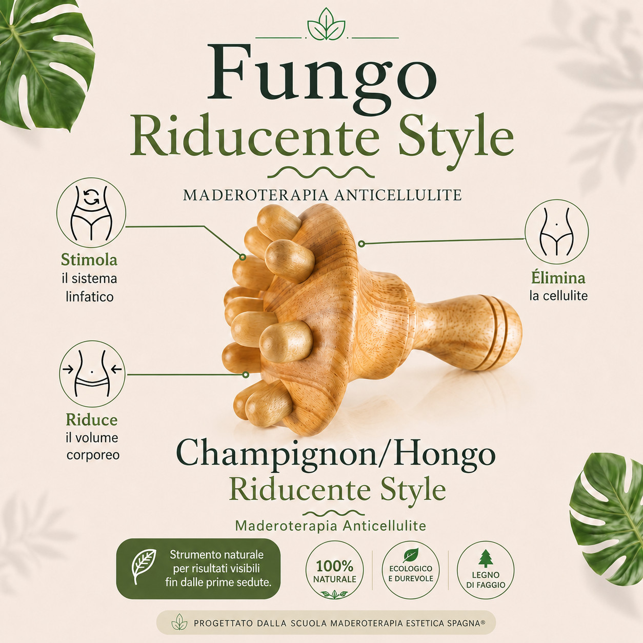 Faggio per la terapia dei funghi Madero - immagine 2