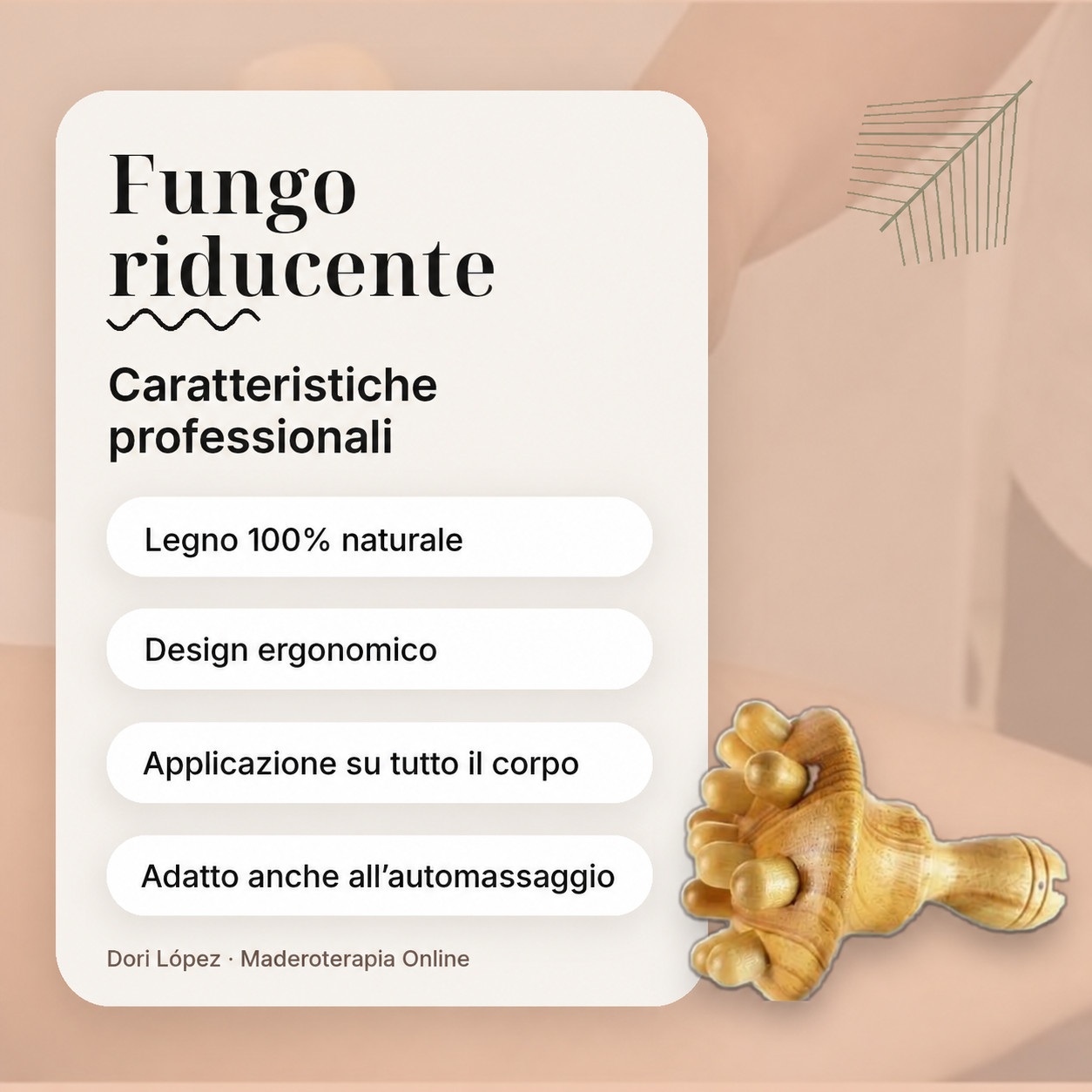 Faggio per la terapia dei funghi Madero - immagine 6